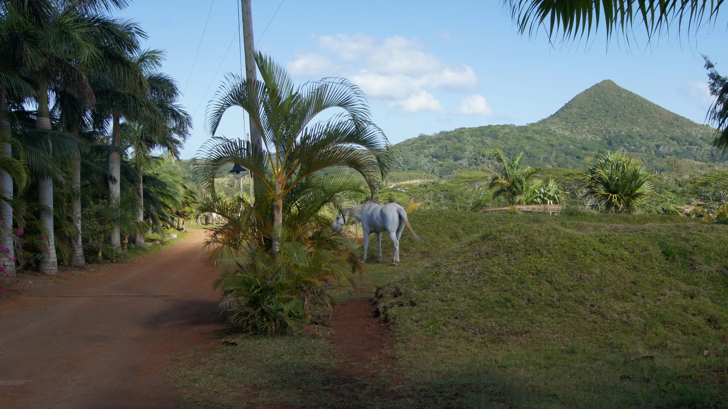 Mauritius - eine tolle Insel für die ganze Familie
